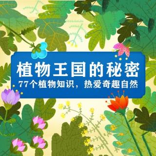 01、世界上最古老的植物是什么