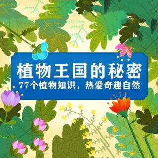 25、植物也会自卫吗？