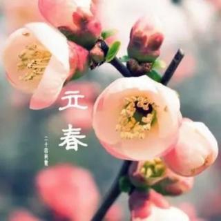 时节之美~立春