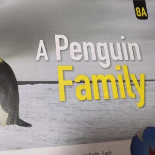 A Penguin Family