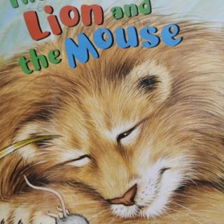 28---the，Lion，and，the，mouse。