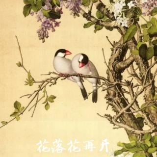 《花落花再开》之十一