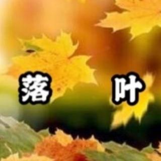 《落叶》文/这把伞  诵读：想念