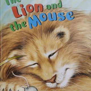 28---the，Lion，and，the，mouse。