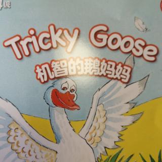 Tricky Goose