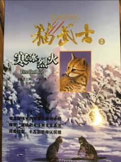 猫武士·寒冰烈火·第三章