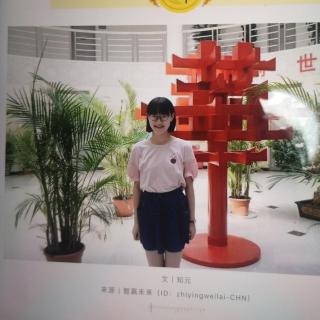 智赢未来   有书少年