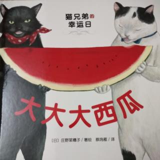 猫兄弟的幸运日大大大西瓜