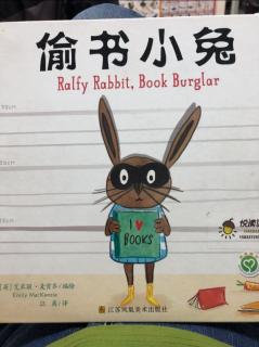 偷书小兔