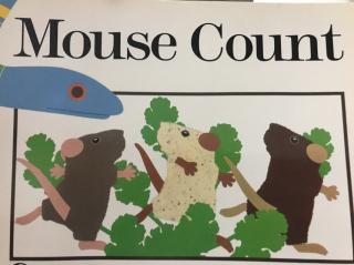 【英文绘本】Mouse Count