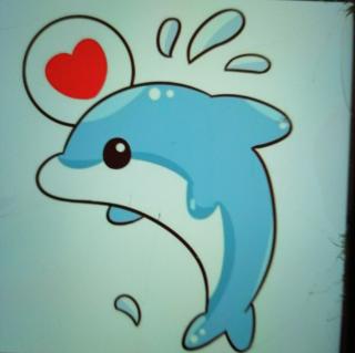 小海豚大战鲨鱼