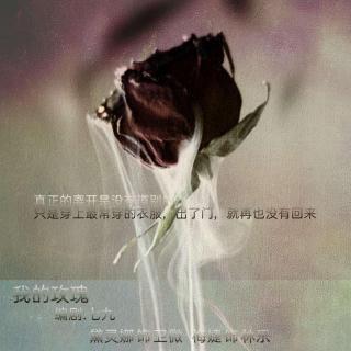 83615《我的玫瑰》  参演：黛灵娜 梅婕