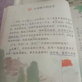 大青树下的小学