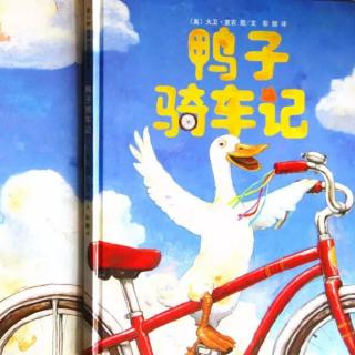 鸭子骑车记🐤