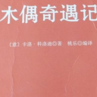 樱桃师与神奇的木头。