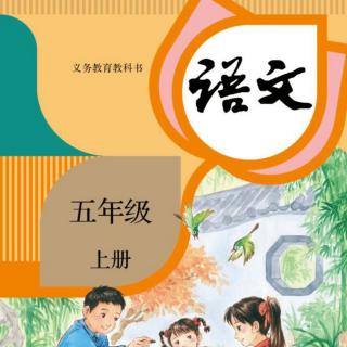 五上4珍珠鸟（来自FM30929758）