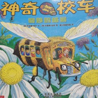 《神奇校车–奇妙的蜂巢》