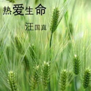 朵朵诵读《热爱生命》作者  汪国真