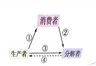 七年级上册人教版生物1-2-2