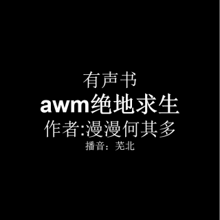 awm绝地求生 第二十章