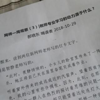 郝晓东《网师一周观察》（三）