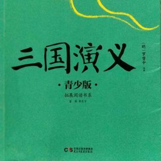 《三国演义》第四十回 司马斗诸葛(1)