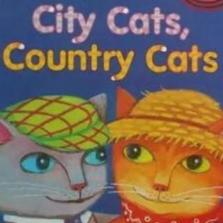 睡前故事来啦『城里的猫和乡下的猫』
