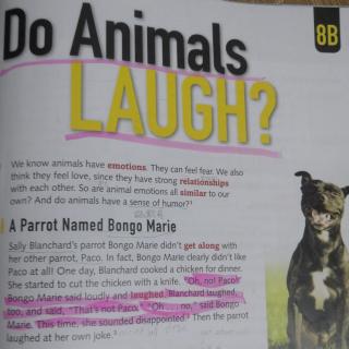 DO ANIMALS LAUGH？