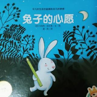 《兔子的心愿》🐇芒果老师