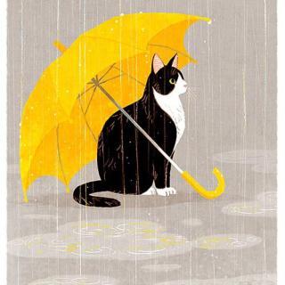 【英文有声书】Cat in the Rain 雨中的猫-海明威