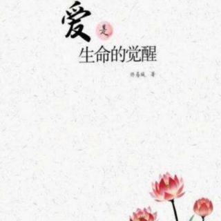 117.爱，适中就好