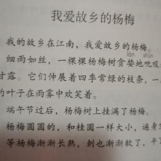 我爱故乡的杨梅