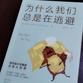 《为什么我们总是在逃避》本章小结