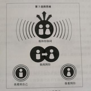 《第3选择•寻求“协同”原则的步骤》