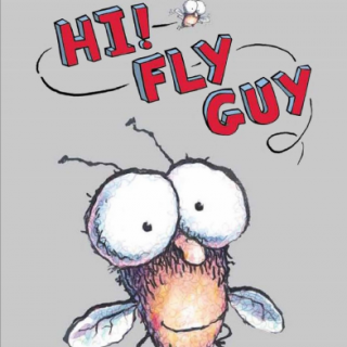 Hi Fly Guy-Chapter 2音频