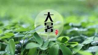 《夏日闲放》唐•白居易2020.8.5王齐芮