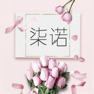 婚姻的真相：一边相互嫌弃，一边相伴余生（二）