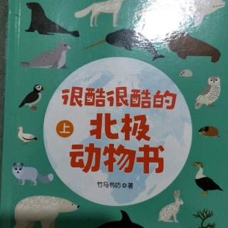 北极动物书