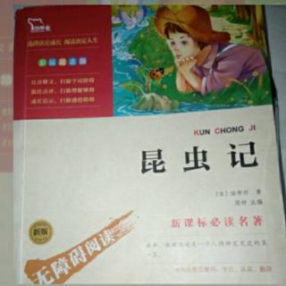 《昆虫记》蝗虫