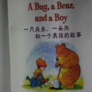 英语磨耳朵――A bug, A bear,and A boy