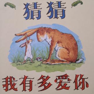 《猜猜我有多爱你》山姆.麦克布雷尼