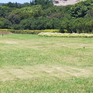 8月7日