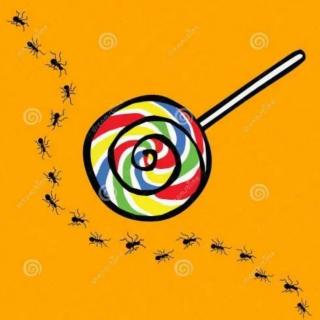棒棒糖和蚂蚁