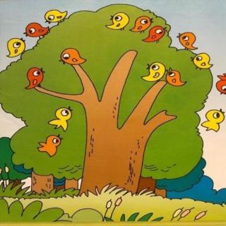 示范区第二幼儿园周周老师讲故事❤:《大树与小鸟》