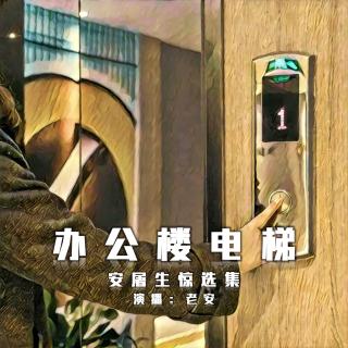 办公楼电梯【安屠生惊选集vol-24】