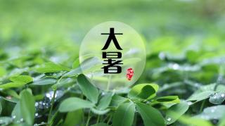 《六月十八日夜大暑》2020年8月7日 王齐芮