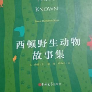 《西顿野生动物故事集》跑侧对步的野马      六