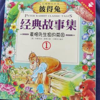 【彼得兔】麦格先生家的菜园