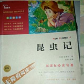 《昆虫记》迷宫蛛