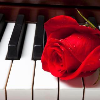 《温柔的爱》钢琴情圣乔瓦尼的浪漫 